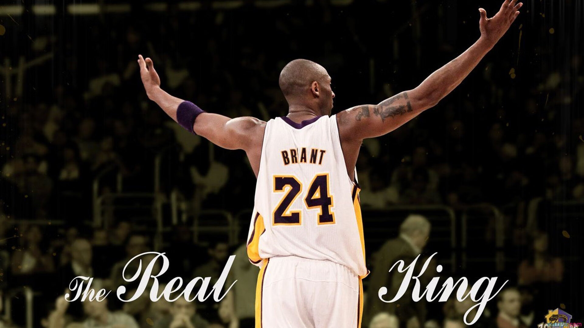 中国篮球联赛观众行为特征分析及市场细分策略,篮球比赛中观众的规则